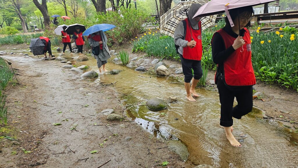 서울숲맨발걷기학교 맨발걷기 진행모습 작은 개울을 맨발로 걷고 있습니다.