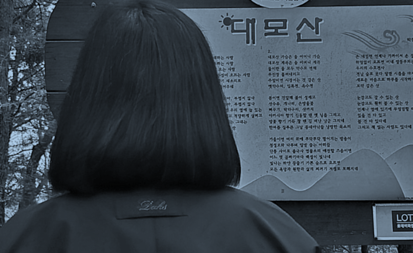 대모산 야간 만보 맨발걷기, 어둠 속에서 만나는 건강한 나
